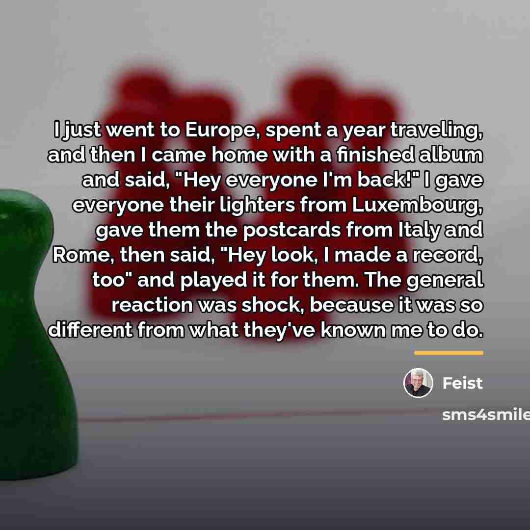 “I just went to Europe, spent a year traveling, and…” quote by Feist