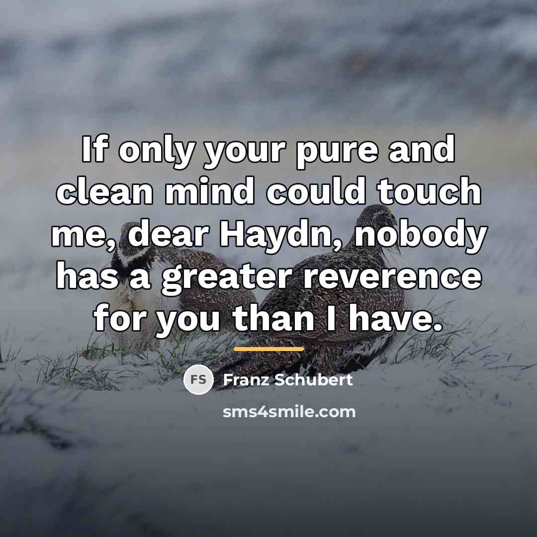 “If only your pure and clean mind could touch me,…” quote by Franz Schubert