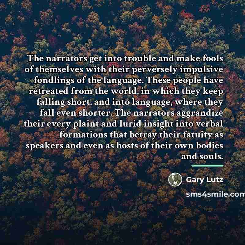 “The narrators get into trouble and make fools of themselves…” quote by Gary Lutz