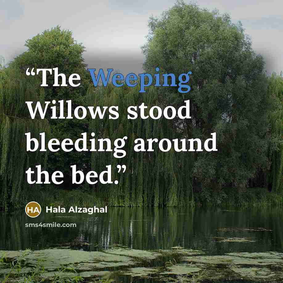 “The Weeping Willows stood bleeding around the bed.” quote by Hala Alzaghal