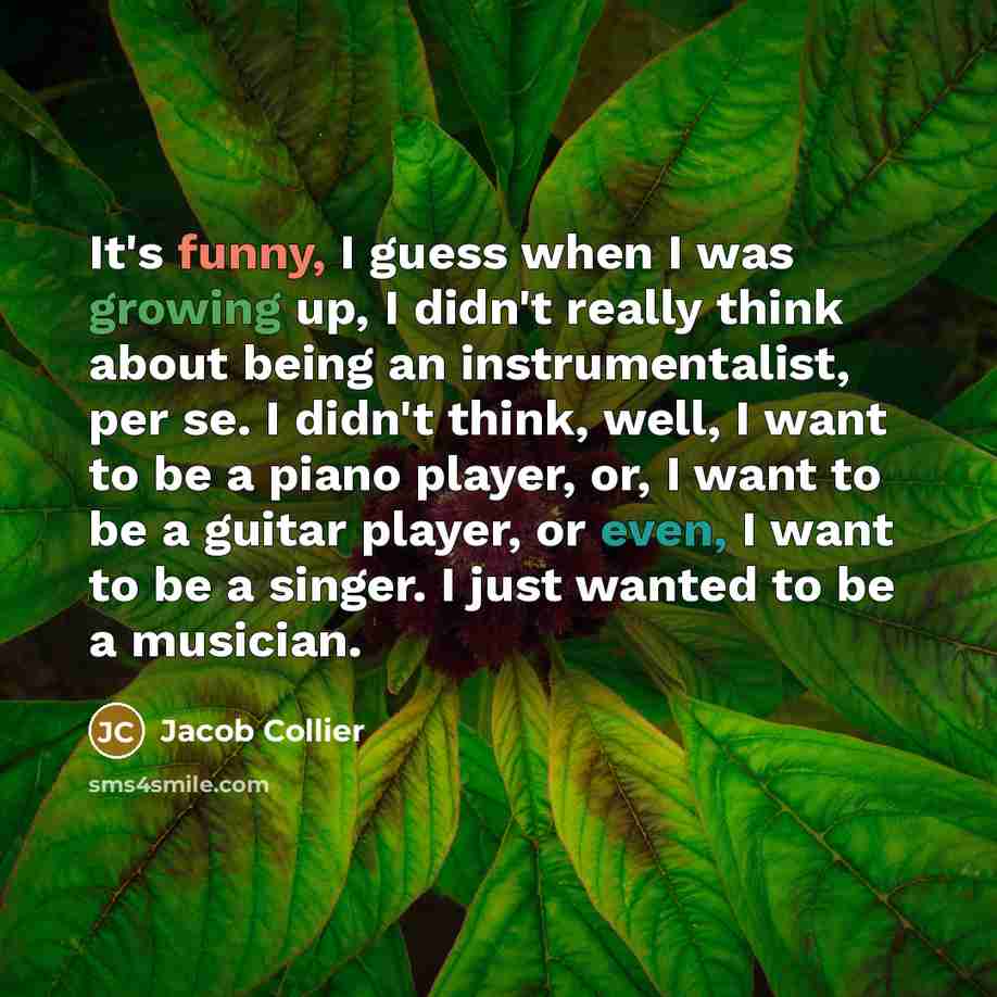 “It's funny, I guess when I was growing up, I…” quote by Jacob Collier