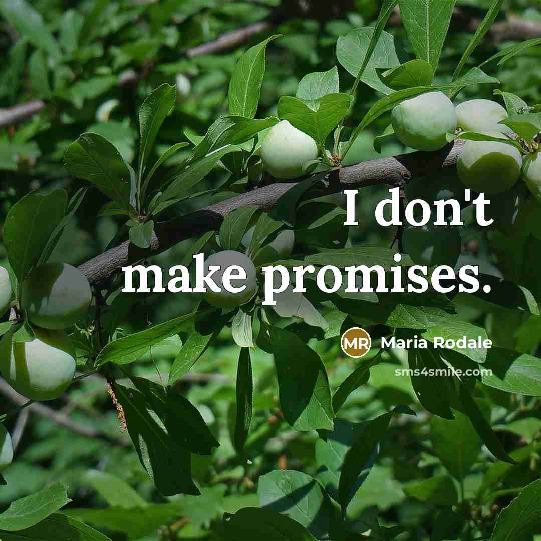 “I don't make promises.…” quote by Maria Rodale