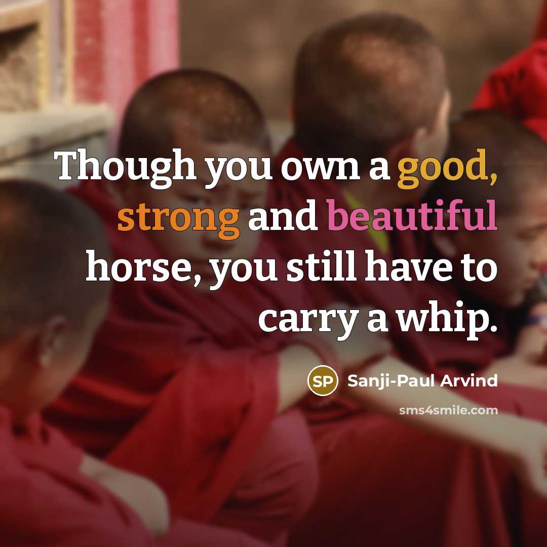 “Though you own a good, strong and beautiful horse, you…” quote by Sanji-Paul Arvind