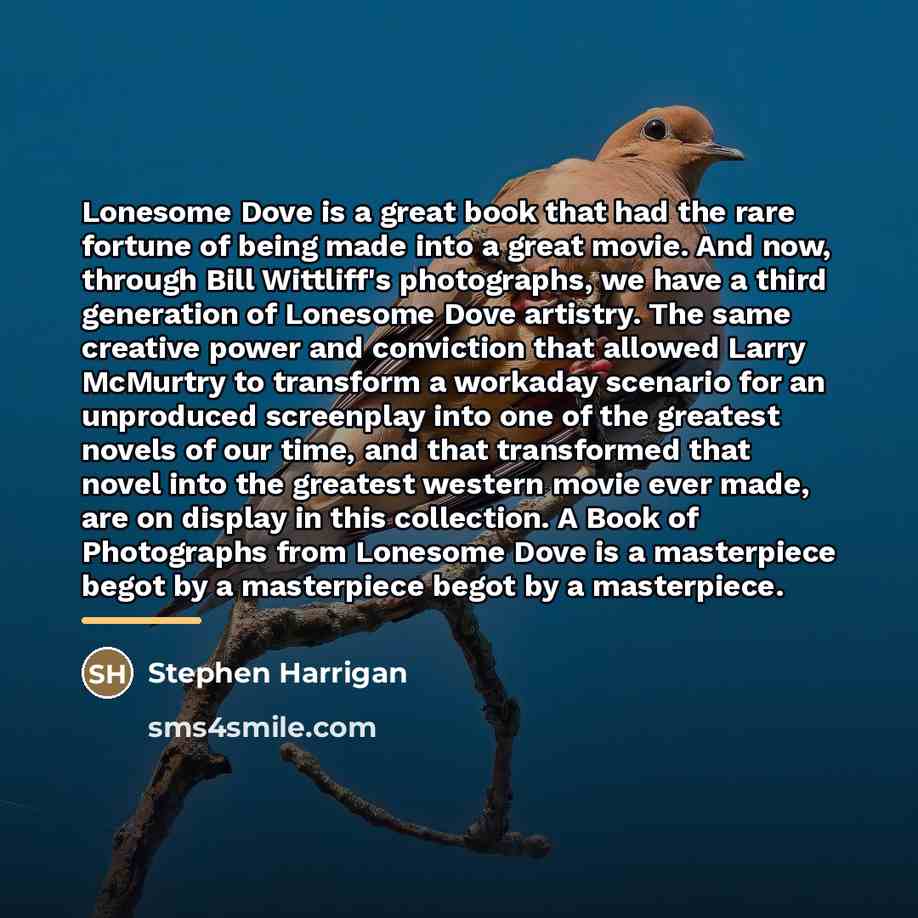 “Lonesome Dove is a great book that had the rare…” quote by Stephen Harrigan