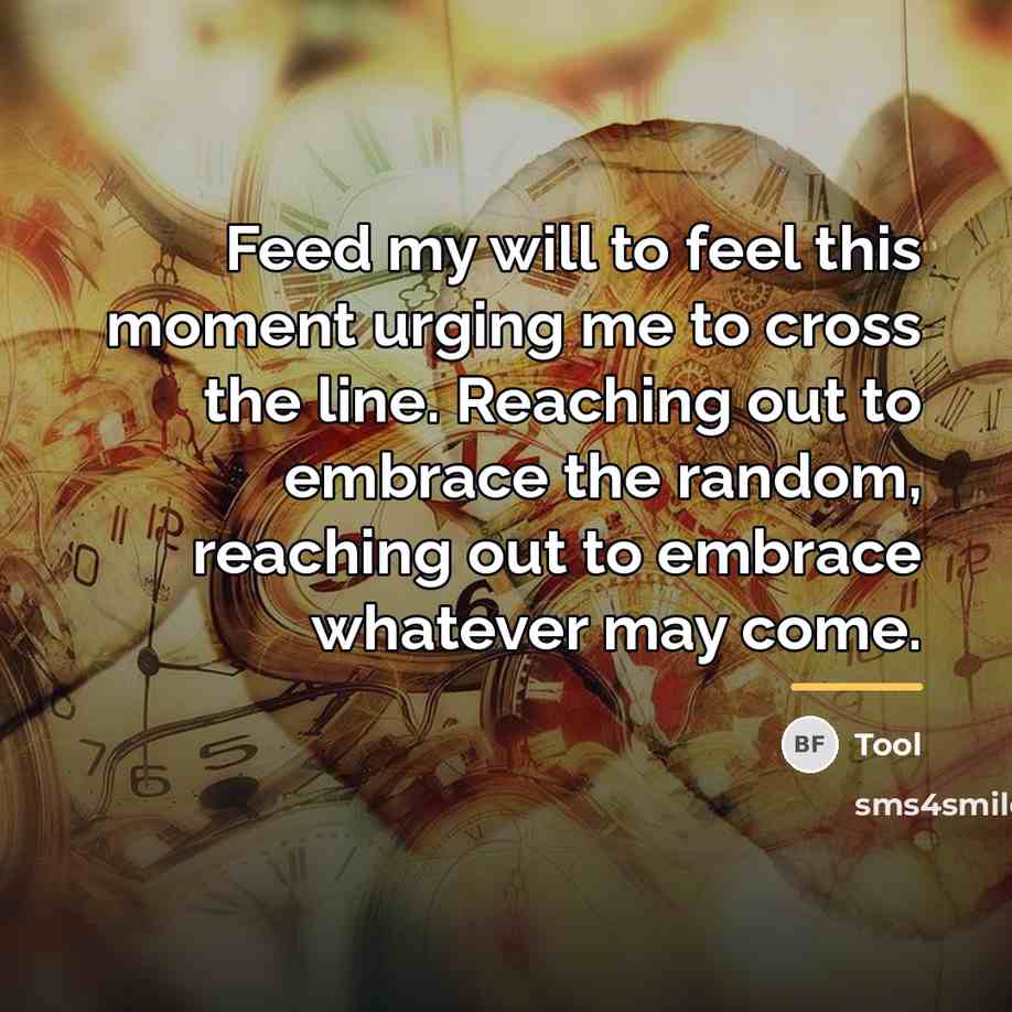 “Feed my will to feel this moment urging me to…” quote by Tool