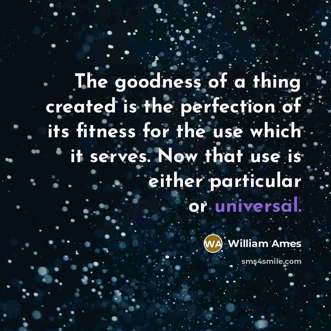 “The goodness of a thing created is the perfection of…” quote by William Ames