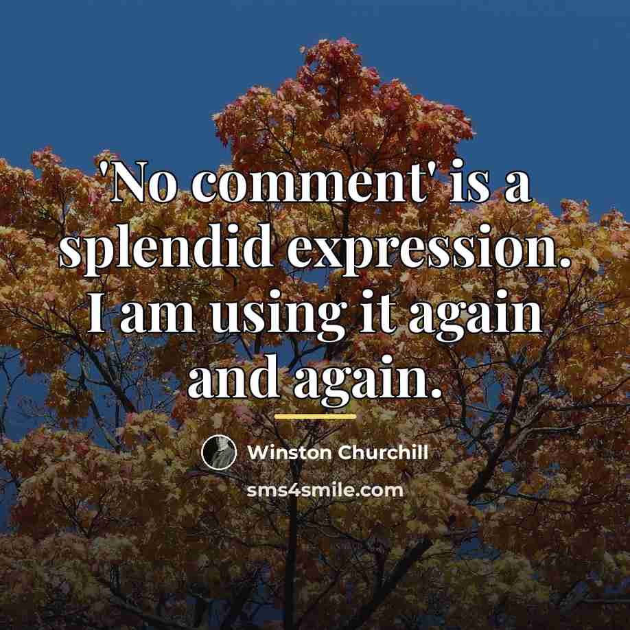 “'No comment' is a splendid expression. I am using it…” quote by Winston Churchill