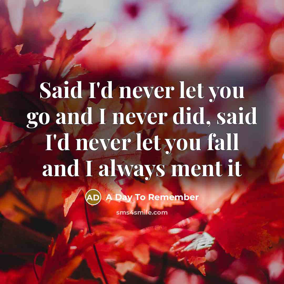 “Said I'd never let you go and I never did,…” quote by A Day To Remember