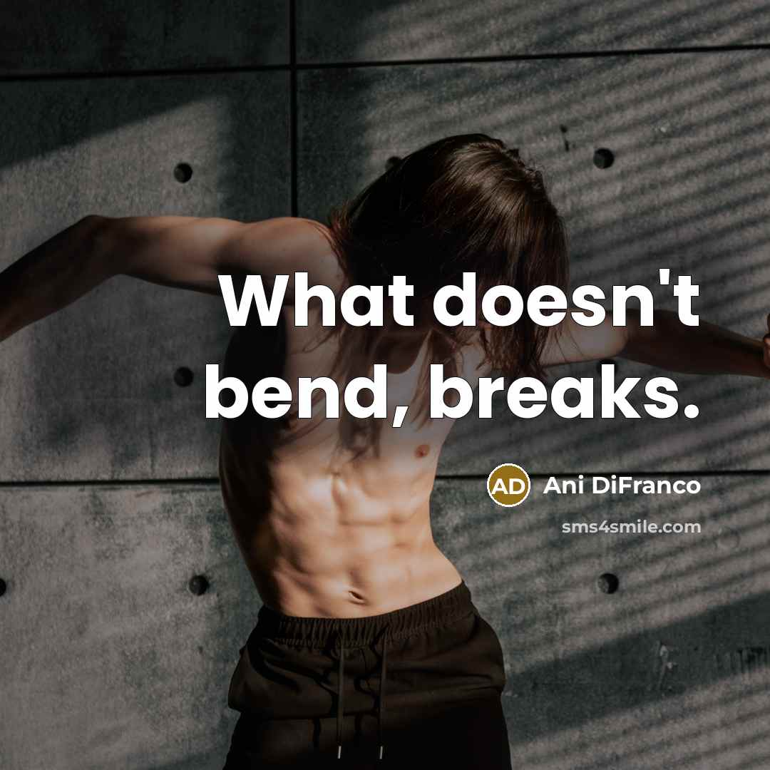 “What doesn't bend, breaks.” quote by Ani DiFranco