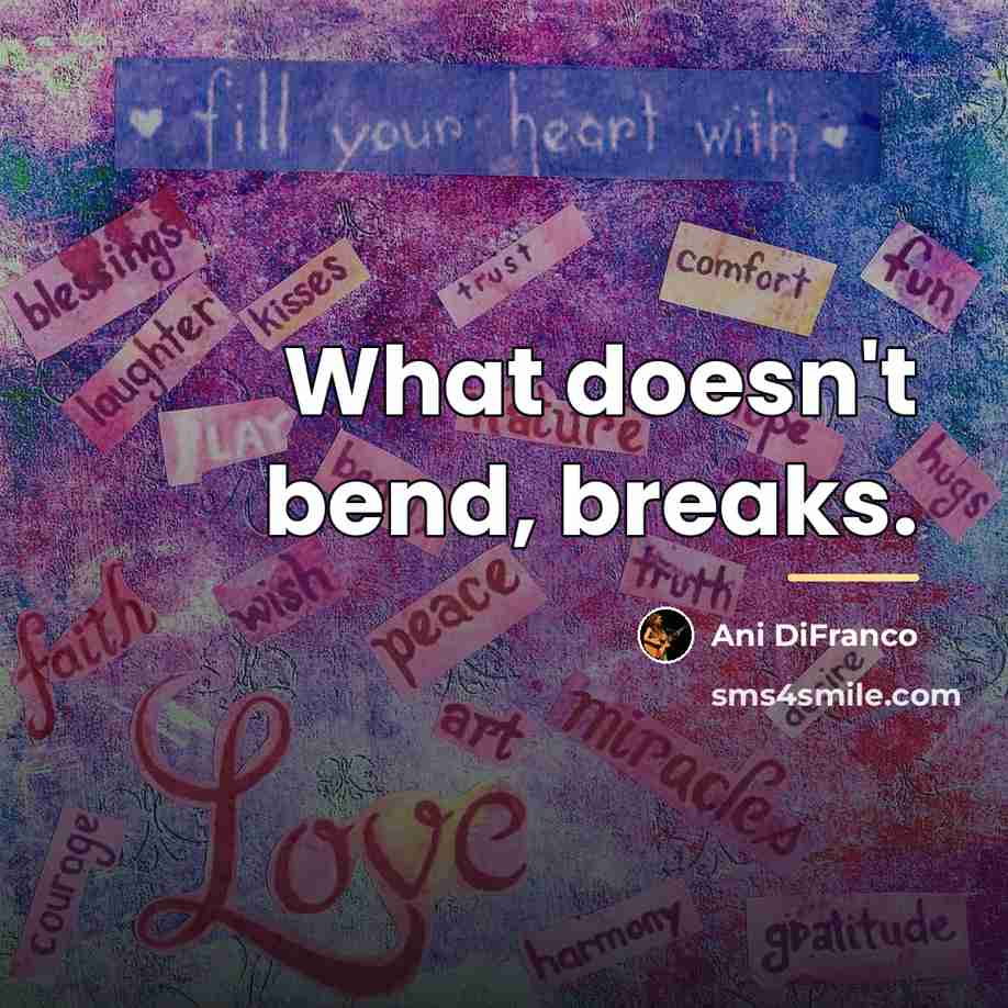 “What doesn't bend, breaks.…” quote by Ani DiFranco