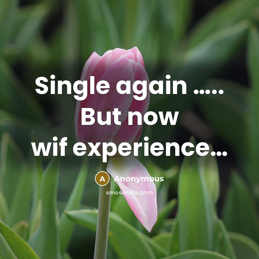 “Single again ….. But now wif experience…” quote by Anonymous