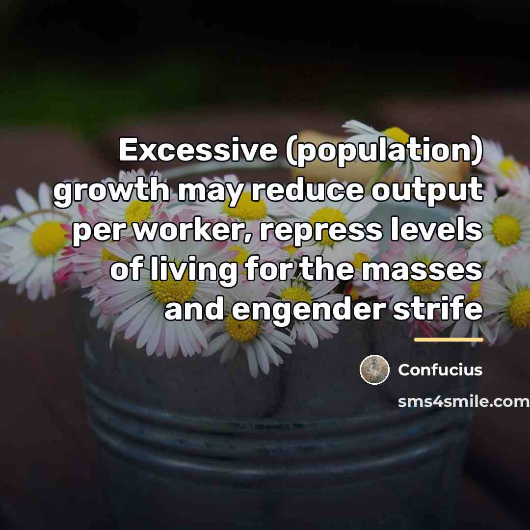 “Excessive (population) growth may reduce output per worker, repress levels…” quote by Confucius