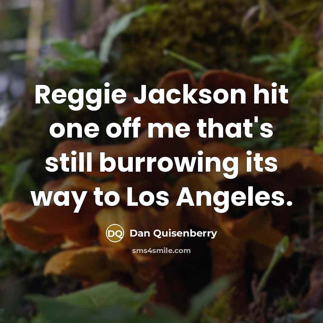 “Reggie Jackson hit one off me that's still burrowing its…” quote by Dan Quisenberry