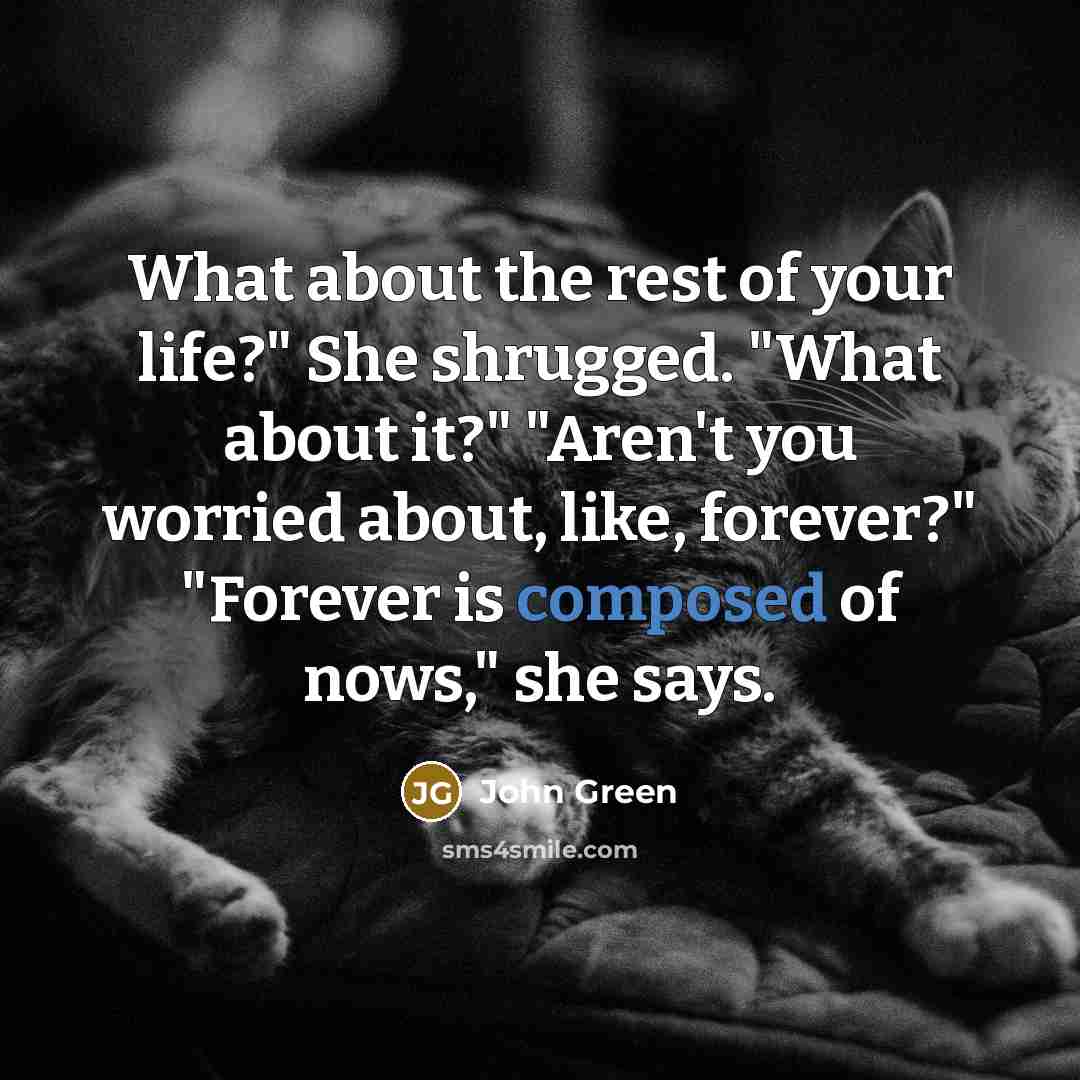 “What about the rest of your life?" She shrugged. "What…” quote by John Green