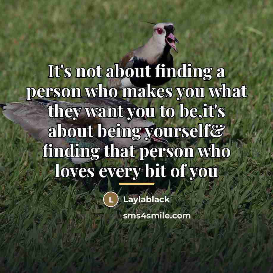 “It's not about finding a person who makes you what…” quote by Laylablack