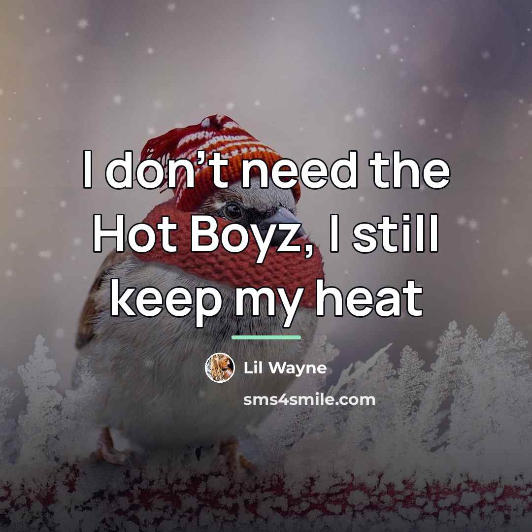 “I don't need the Hot Boyz, I still keep my…” quote by Lil Wayne