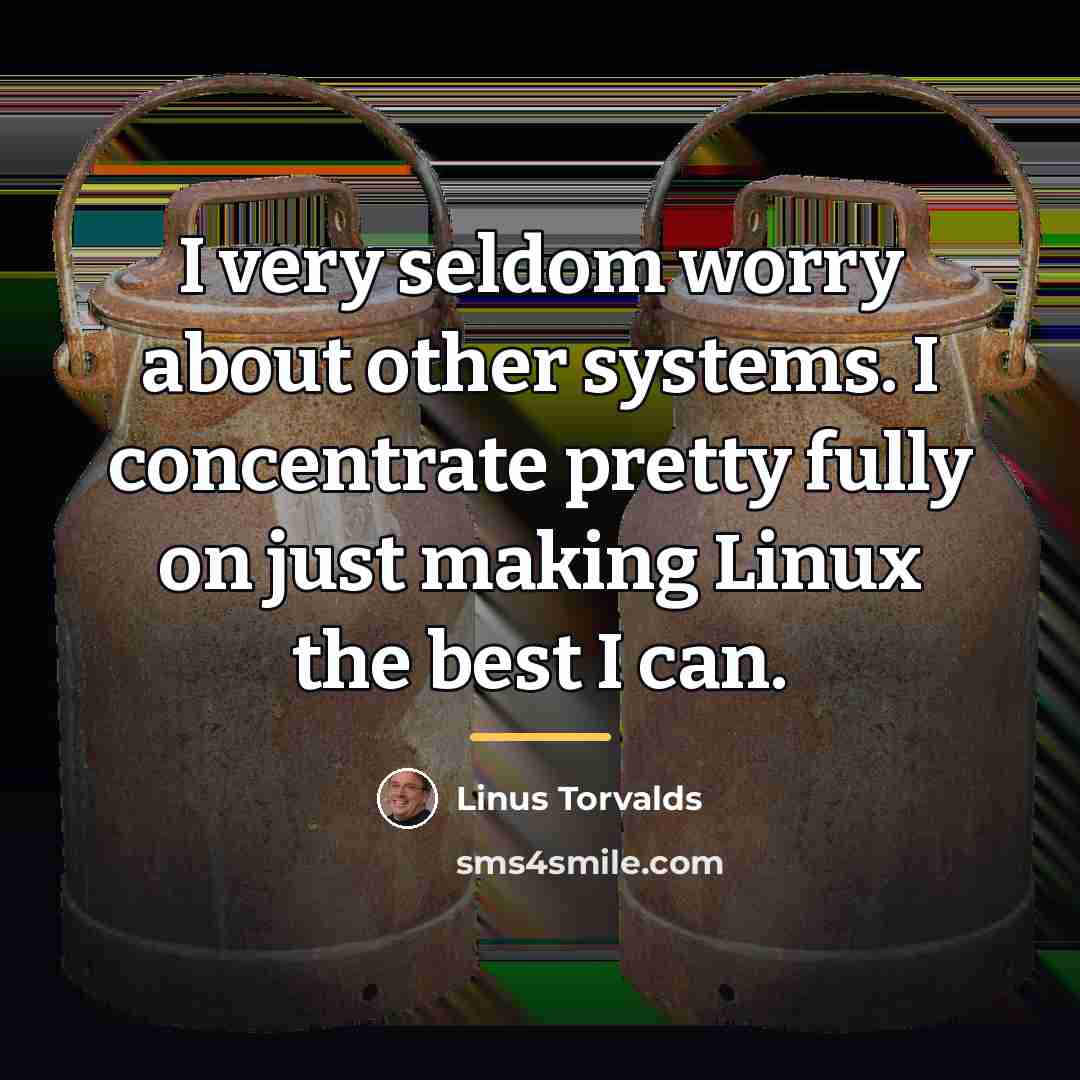 “I very seldom worry about other systems. I concentrate pretty…” quote by Linus Torvalds