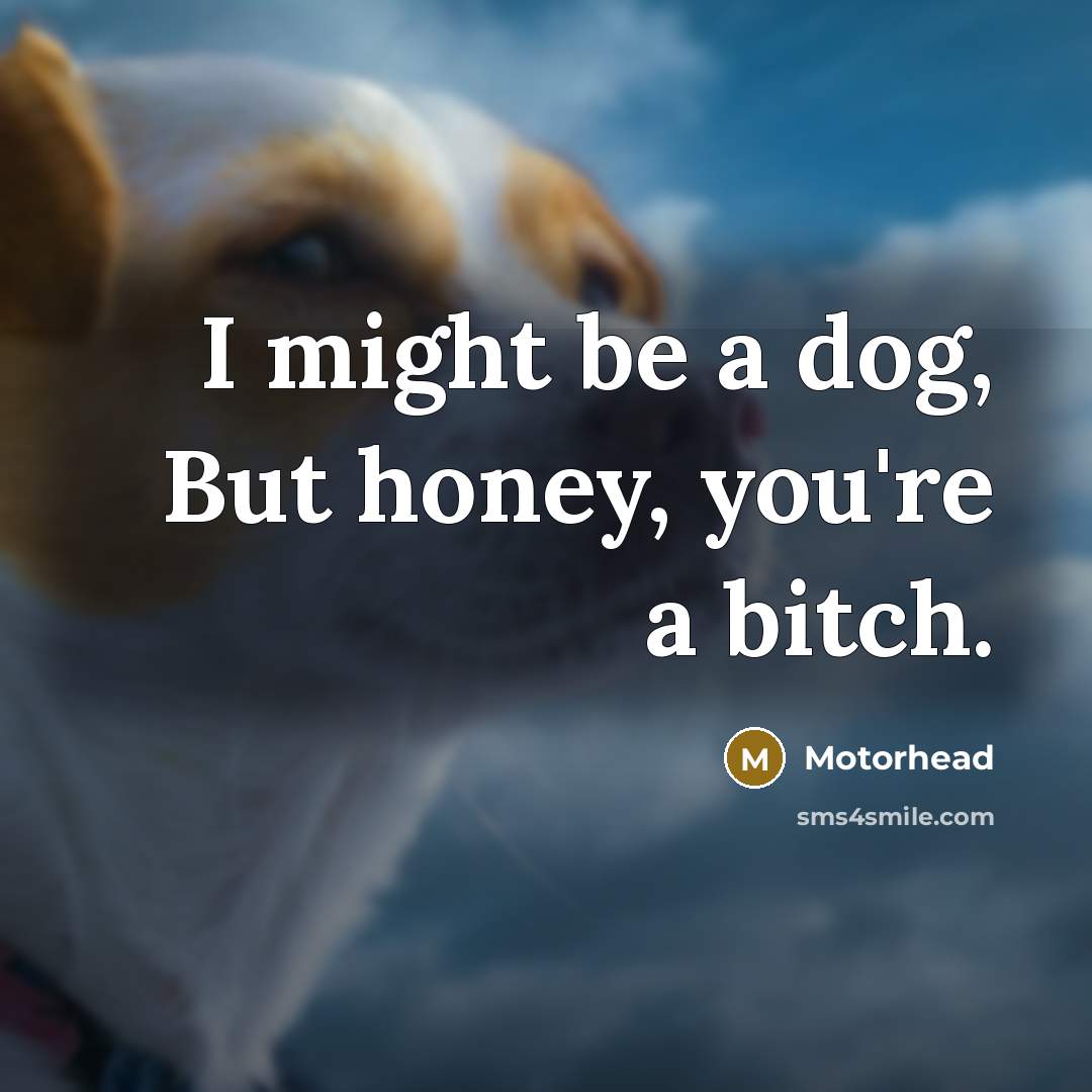 “I might be a dog, But honey, you're a bitch.” quote by Motorhead