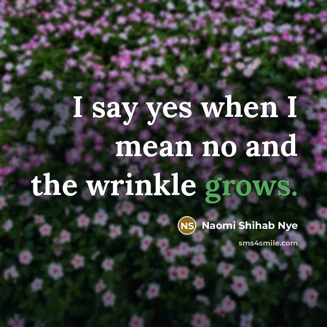 “I say yes when I mean no and the wrinkle…” quote by Naomi Shihab Nye