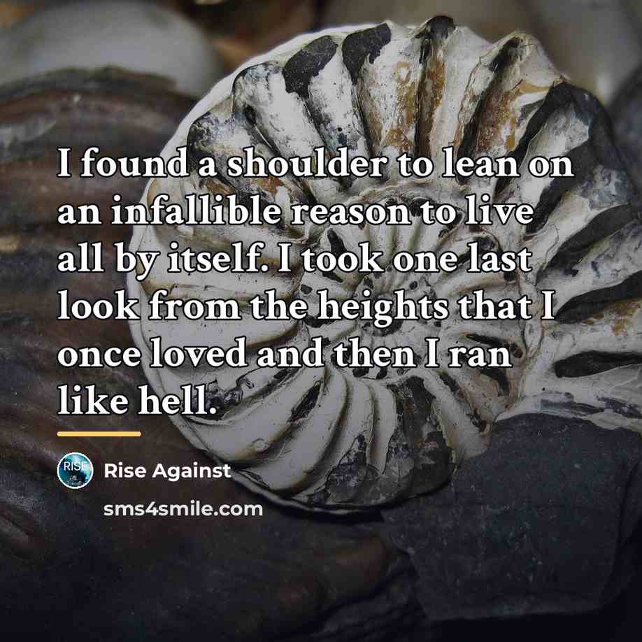 “I found a shoulder to lean on an infallible reason…” quote by Rise Against