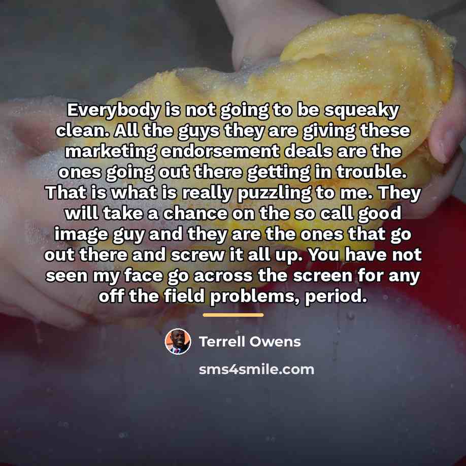 “Everybody is not going to be squeaky clean. All the…” quote by Terrell Owens