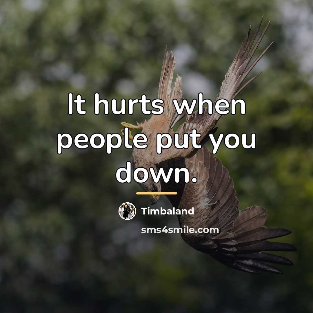 “It hurts when people put you down.…” quote by Timbaland