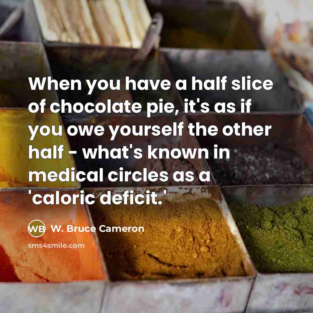 “When you have a half slice of chocolate pie, it's…” quote by W. Bruce Cameron