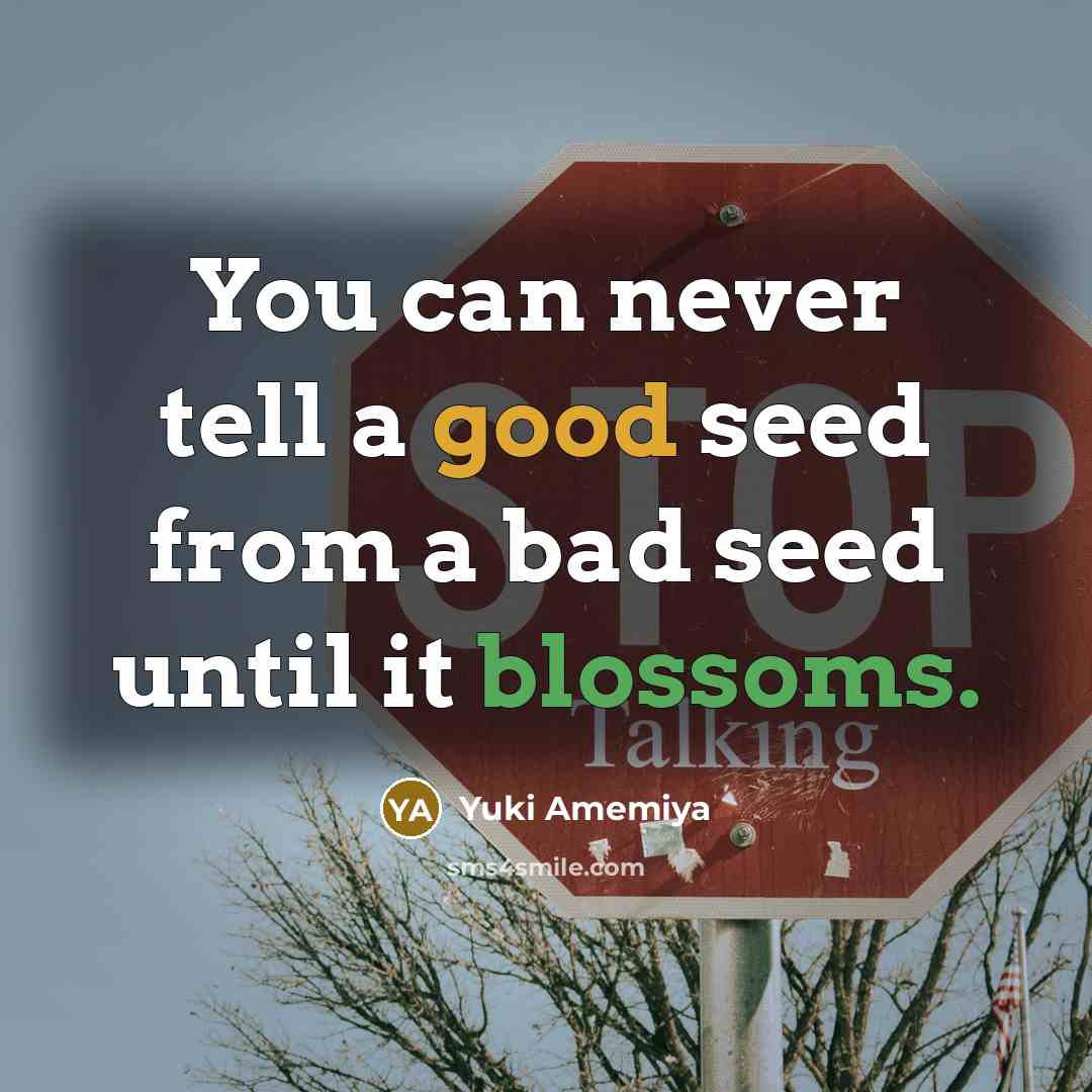 “You can never tell a good seed from a bad seed until it blossoms.” quote by Yuki Amemiya