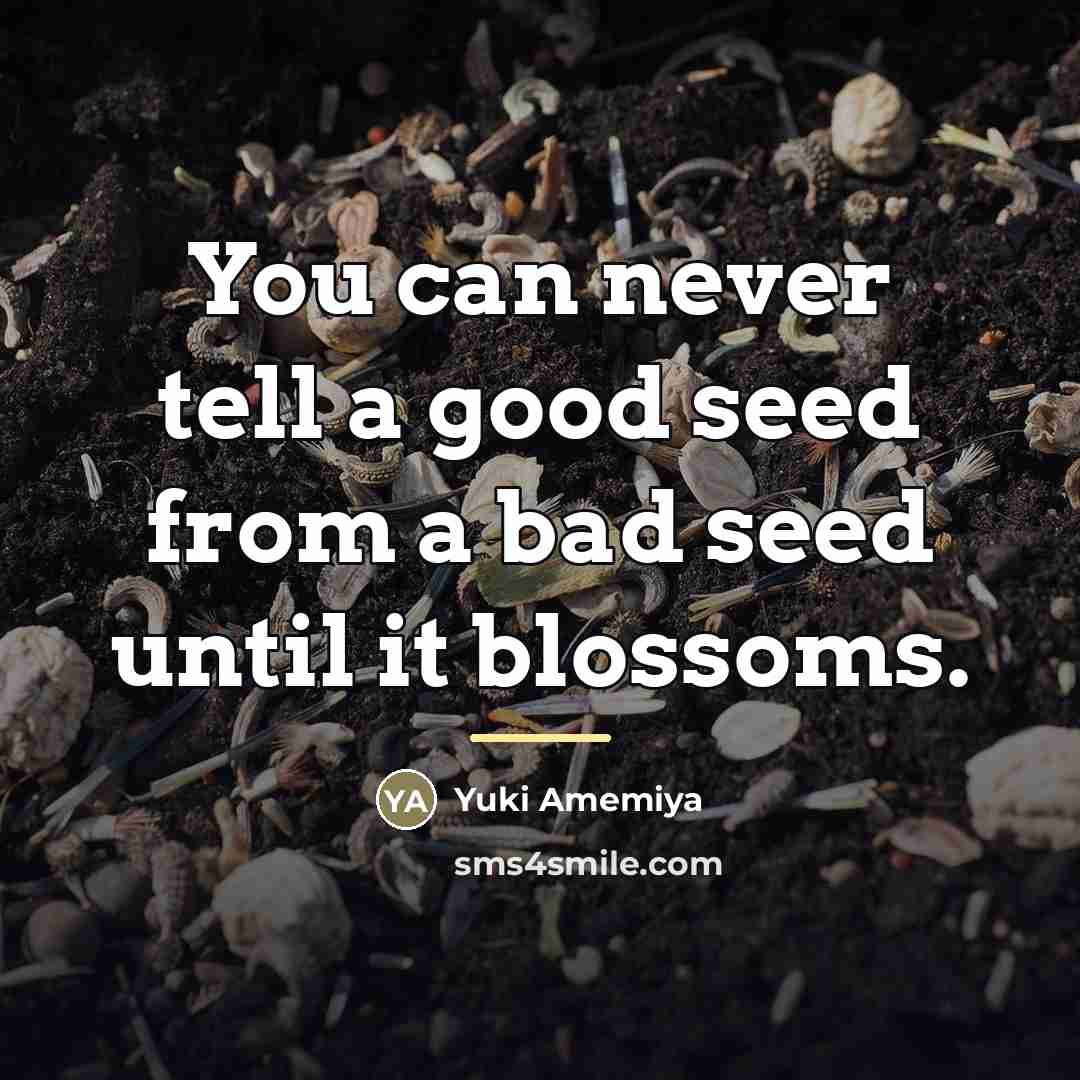 “You can never tell a good seed from a bad…” quote by Yuki Amemiya
