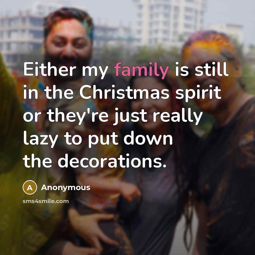 “Either my family is still in the Christmas spirit or…” quote by Anonymous