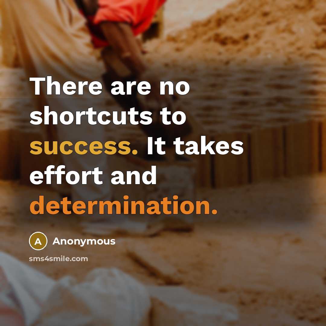 “There are no shortcuts to success. It takes effort and determination.” quote by Anonymous