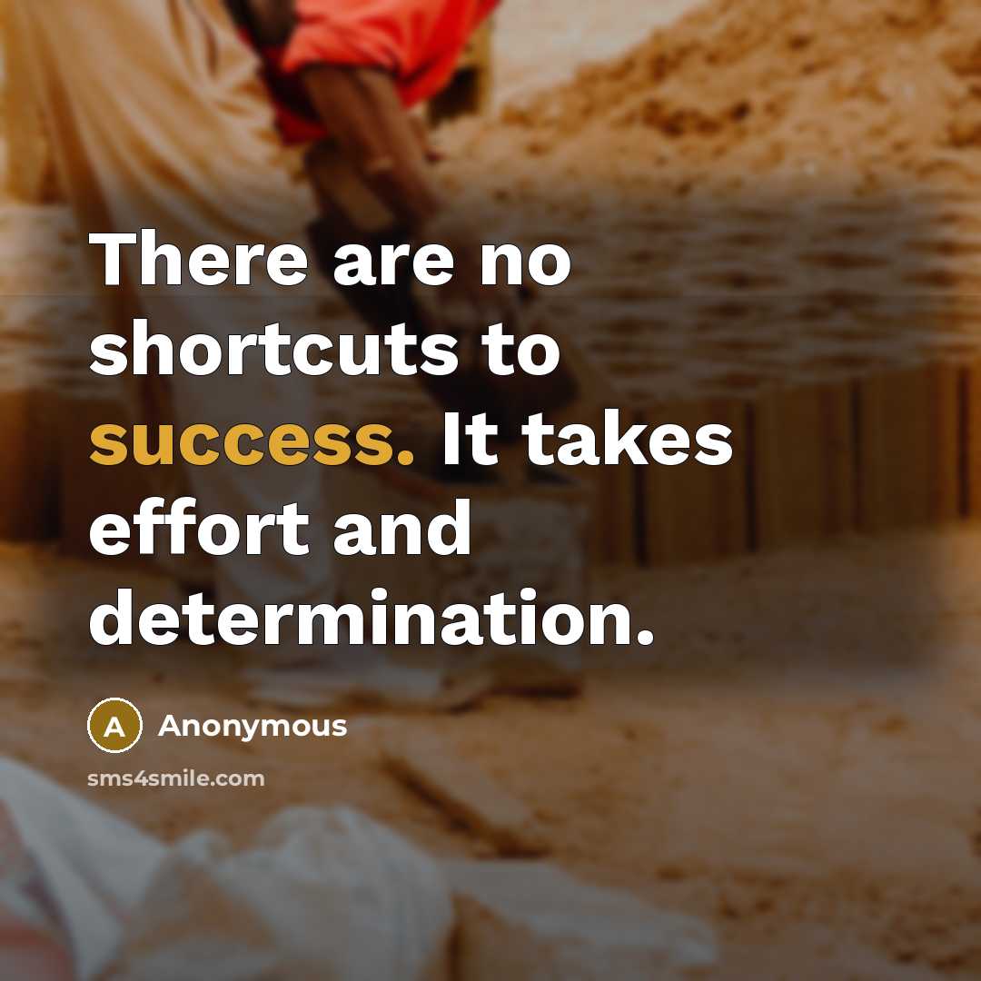 “There are no shortcuts to success. It takes effort and determination.” quote by Anonymous