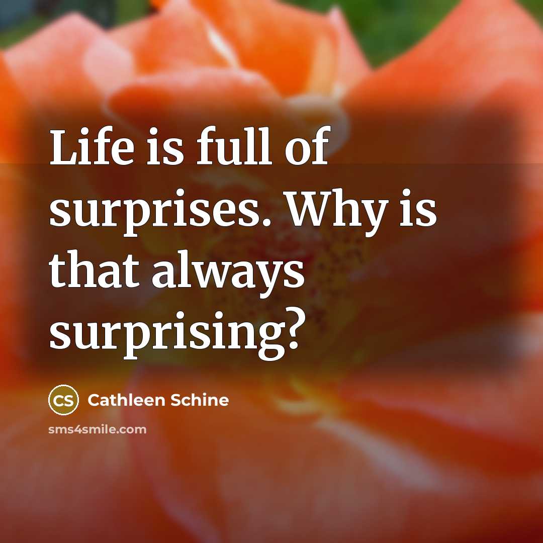 “Life is full of surprises. Why is that always surprising?…” quote by Cathleen Schine