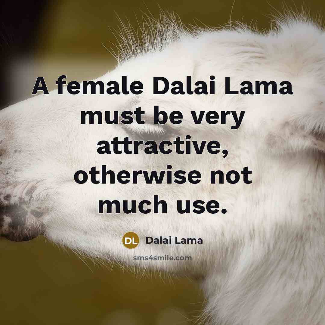 “A female Dalai Lama must be very attractive, otherwise not…” quote by Dalai Lama