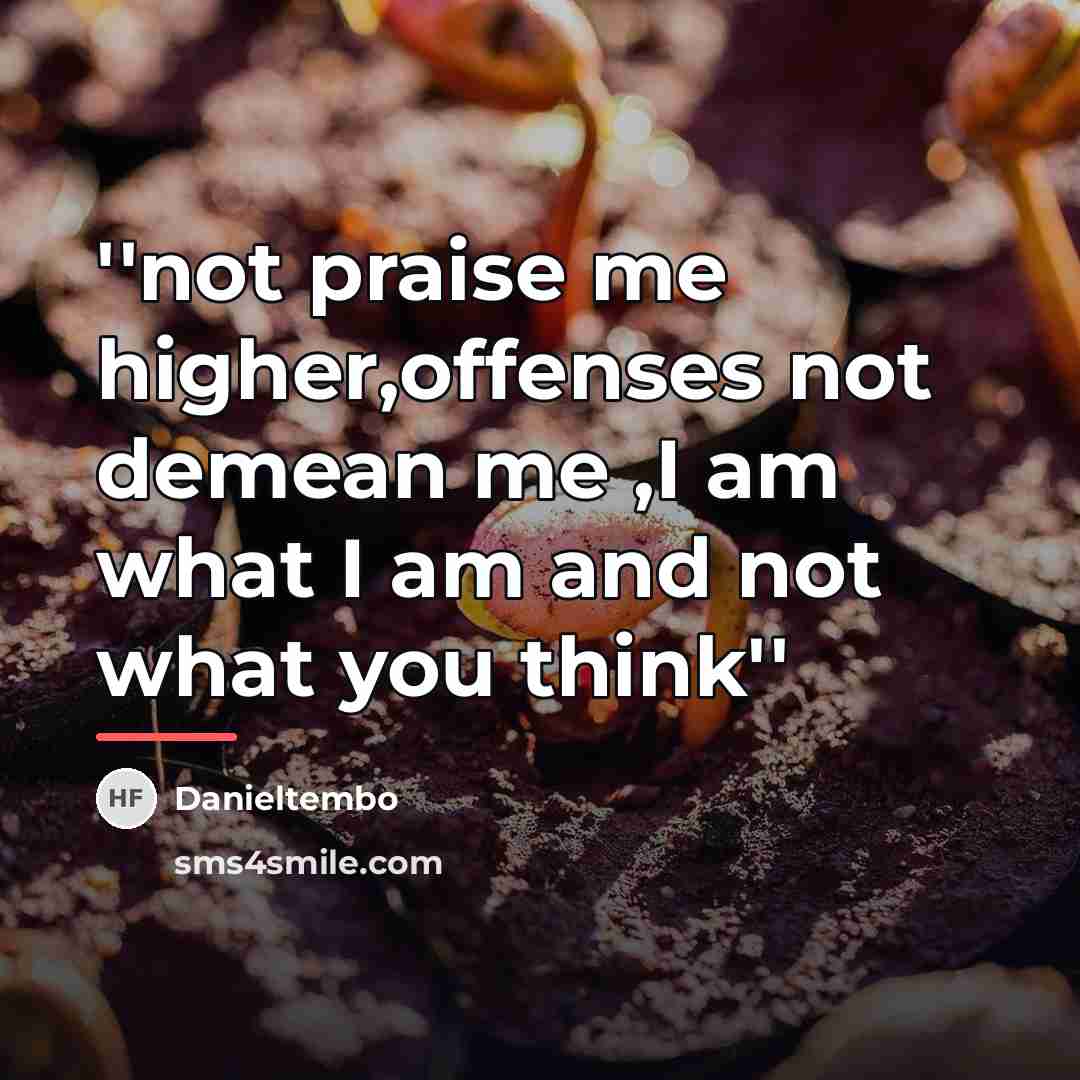 “''not praise me higher,offenses not demean me ,I am what…” quote by Danieltembo
