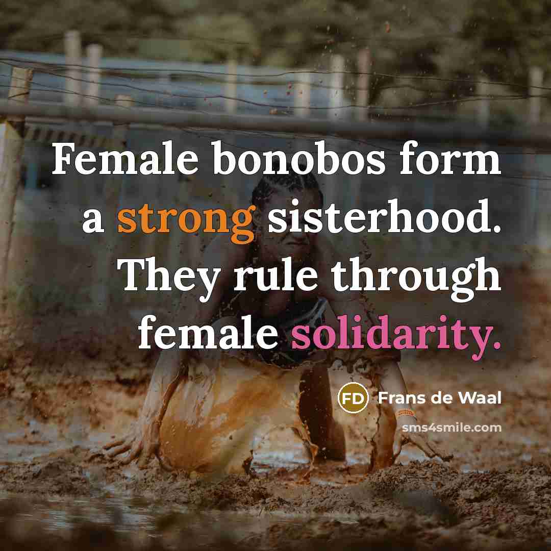 “Female bonobos form a strong sisterhood. They rule through female…” quote by Frans de Waal