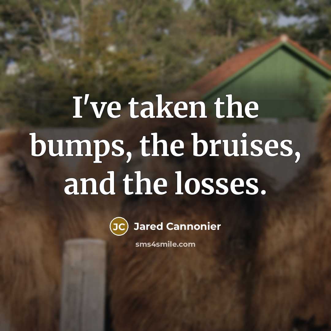“I've taken the bumps, the bruises, and the losses.…” quote by Jared Cannonier