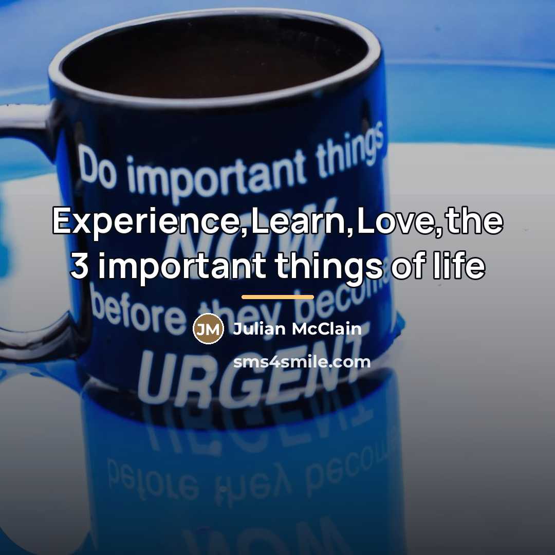 “Experience,Learn,Love,the 3 important things of life…” quote by Julian McClain