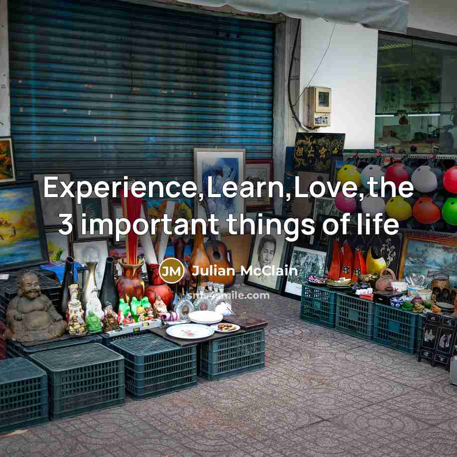 “Experience,Learn,Love,the 3 important things of life” quote by Julian McClain
