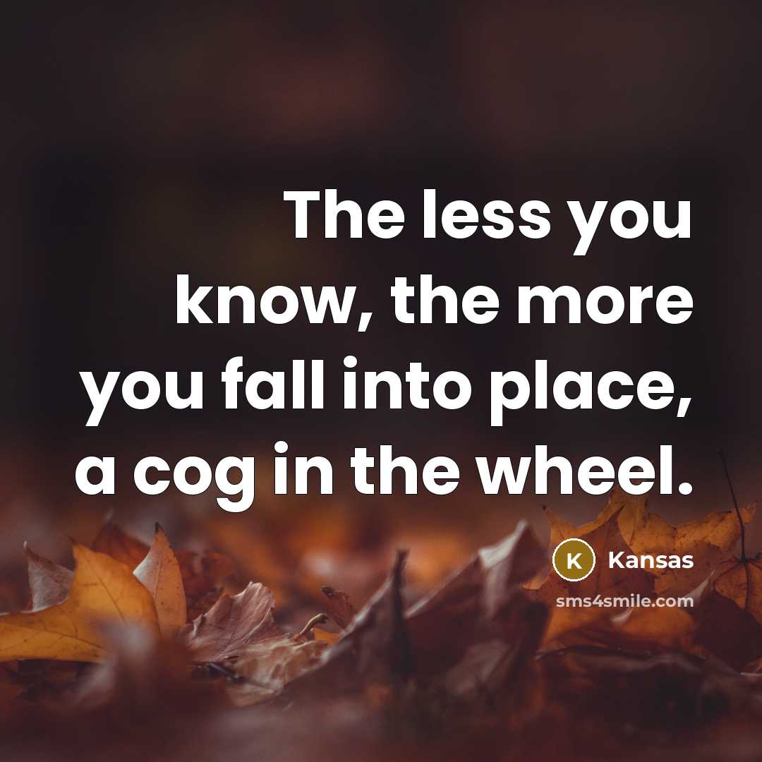 “The less you know, the more you fall into place,…” quote by Kansas