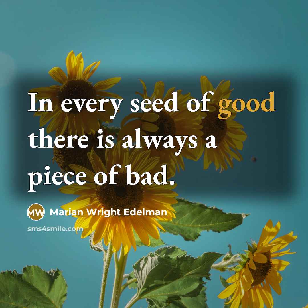 “In every seed of good there is always a piece…” quote by Marian Wright Edelman
