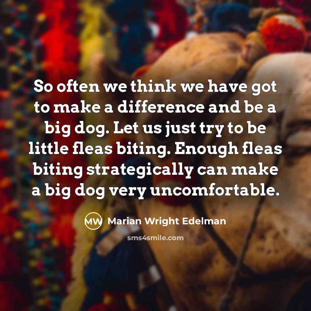“So often we think we have got to make a difference and be a big dog. Let us just try to be little fleas biting. Enough fleas biting strategically can make a big dog very uncomfortable.” quote by Marian Wright Edelman