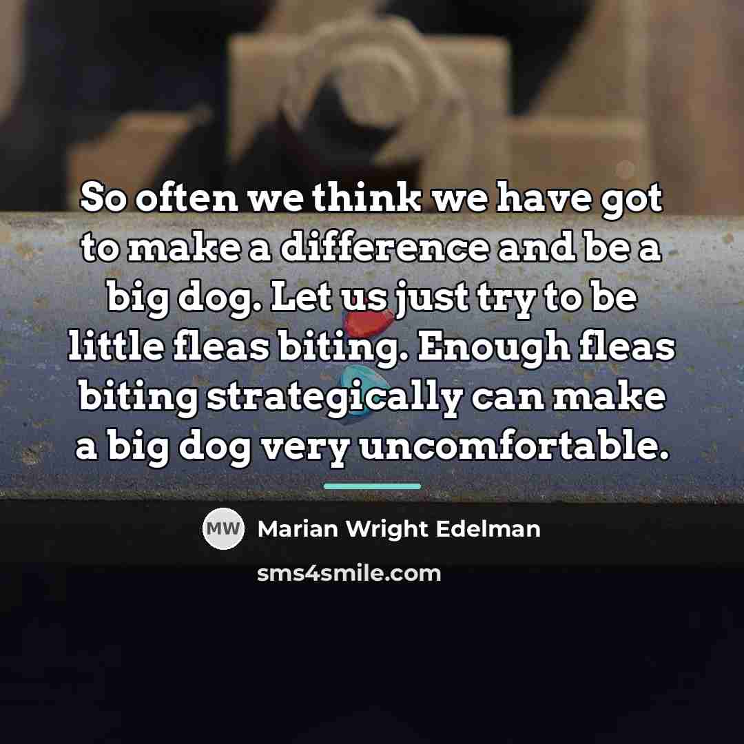 “So often we think we have got to make a…” quote by Marian Wright Edelman
