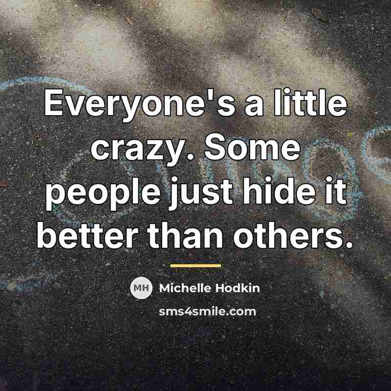 “Everyone's a little crazy. Some people just hide it better…” quote by Michelle Hodkin