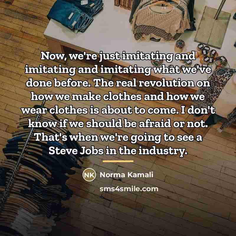 “Now, we're just imitating and imitating and imitating what we've…” quote by Norma Kamali