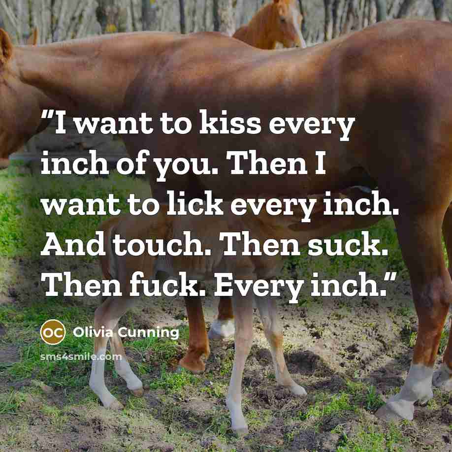 “I want to kiss every inch of you. Then I want to lick every inch. And touch. Then suck. Then fuck. Every inch.” quote by Olivia Cunning
