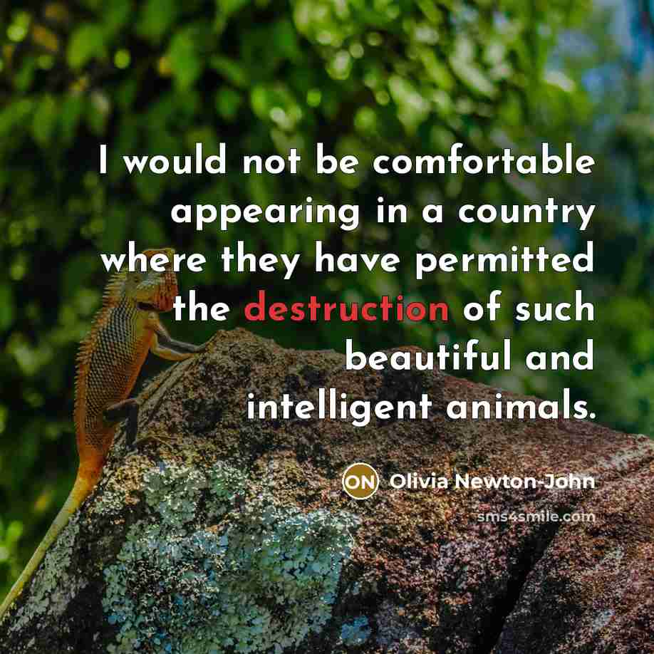 “I would not be comfortable appearing in a country where…” quote by Olivia Newton-John