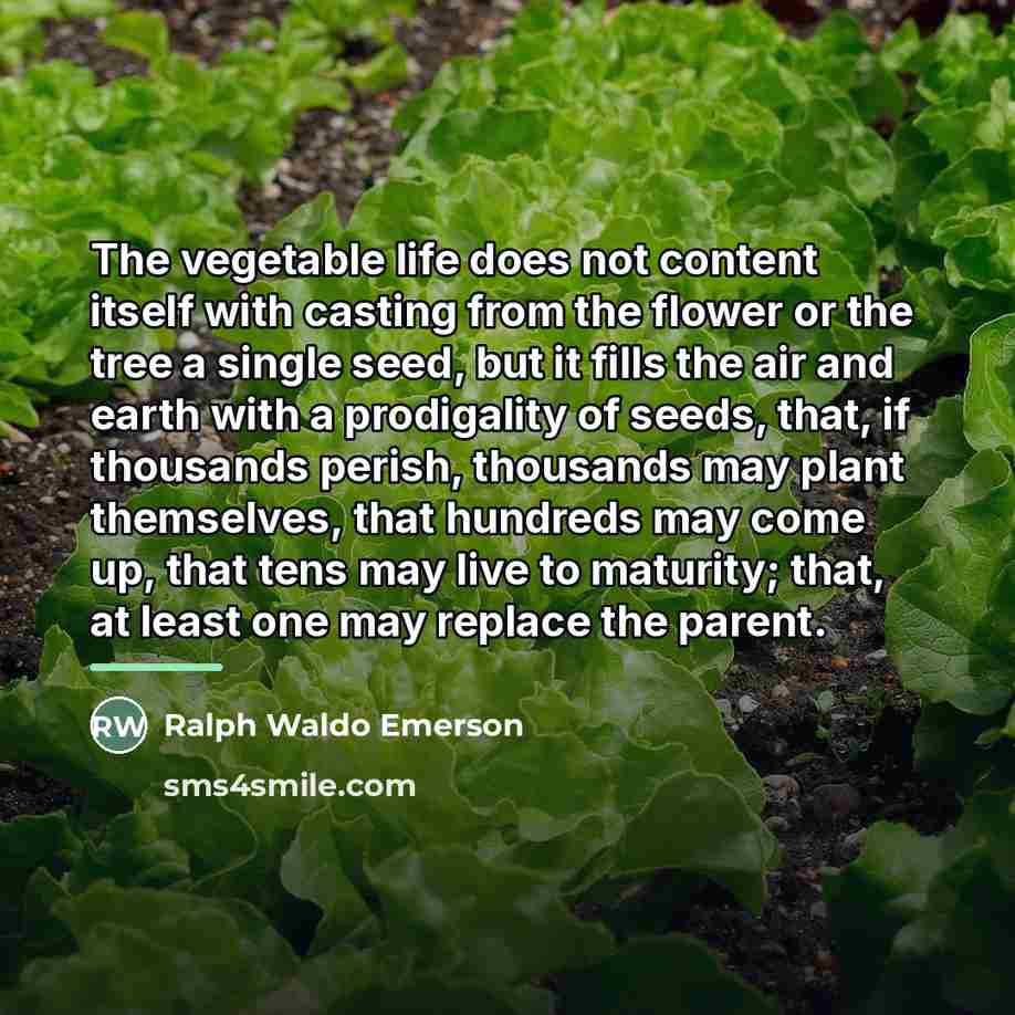“The vegetable life does not content itself with casting from…” quote by Ralph Waldo Emerson