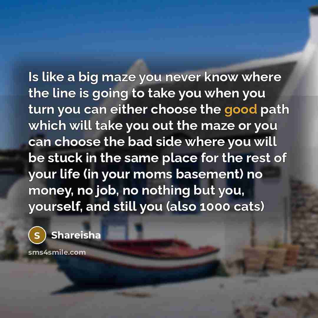 “Is like a big maze you never know where the…” quote by Shareisha