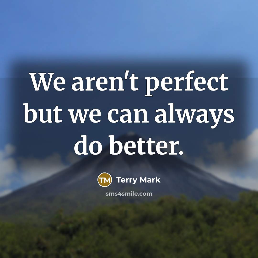 “We aren't perfect but we can always do better.…” quote by Terry Mark